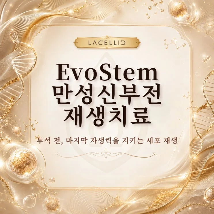 만성신부전과 세포 재생, EvoStem은 어떤 프로그램일까요?