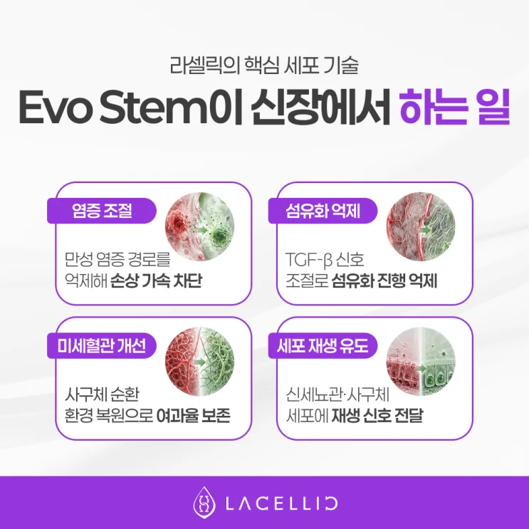 만성콩팥병(CKD), 한국 신장 의료관광이 주목받는 이유