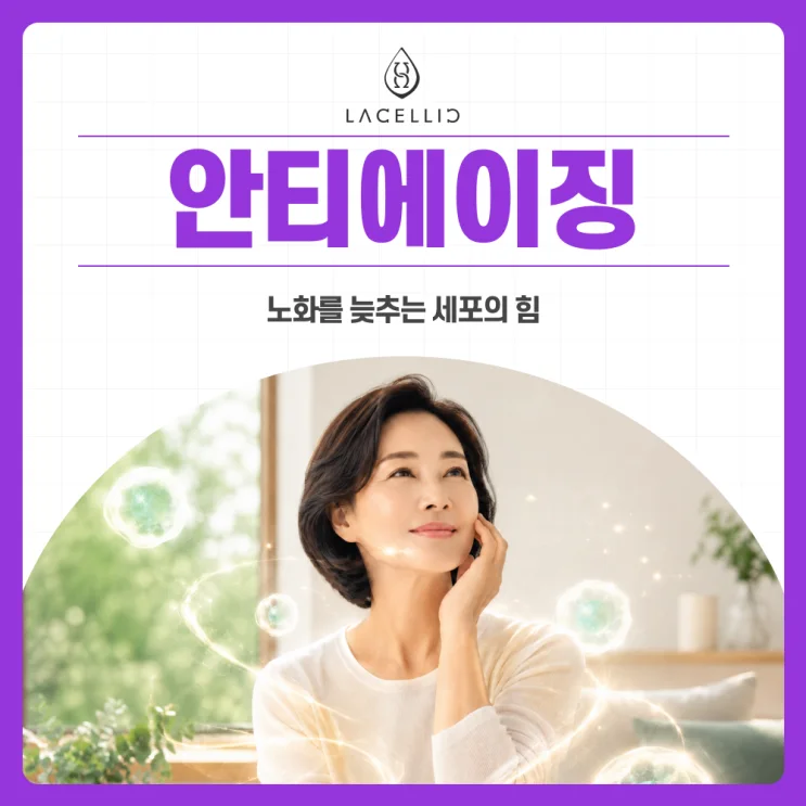 안티에이징과 의료관광, 건강한 노화를 위한 새로운 선택