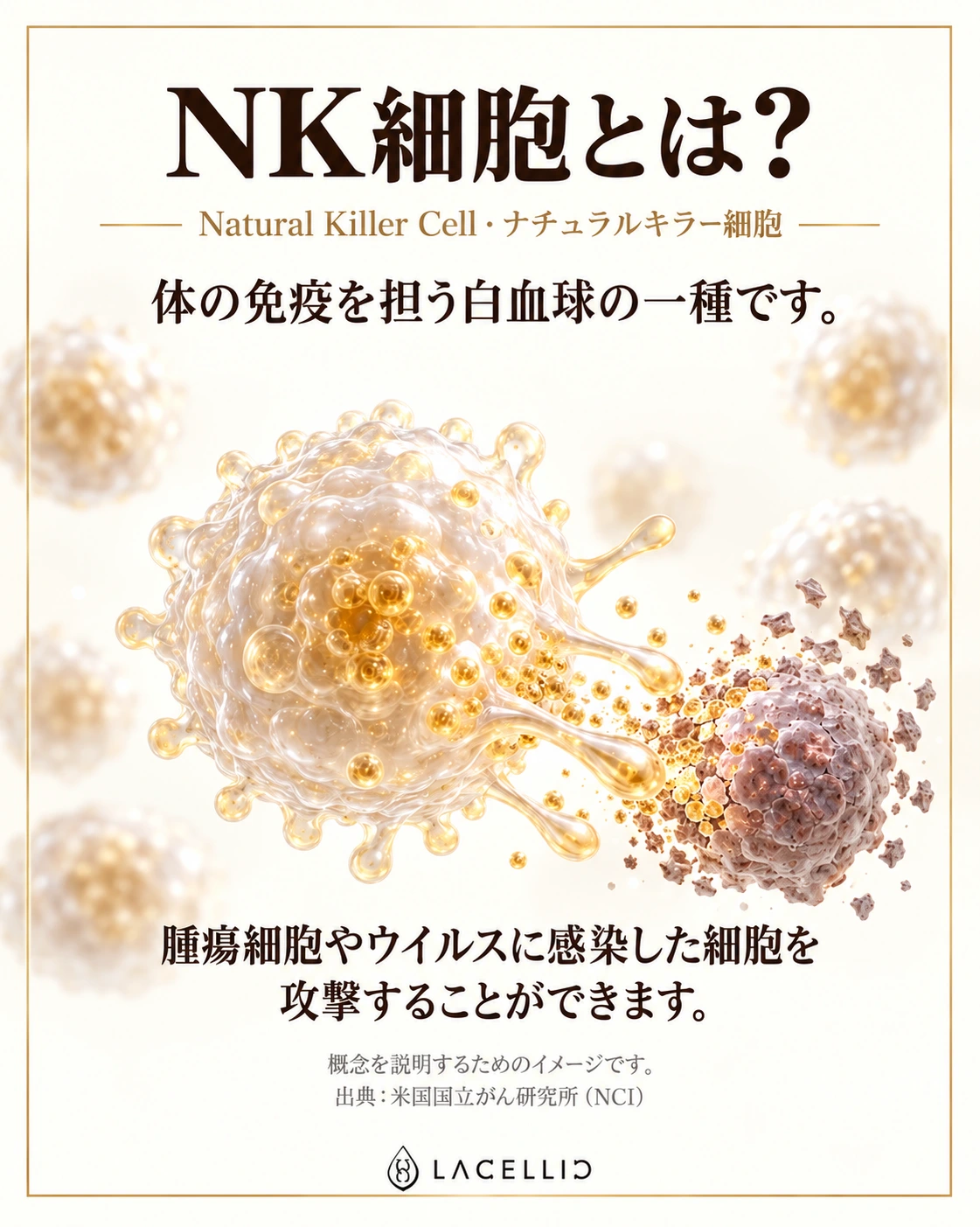 NK細胞とは：概念図