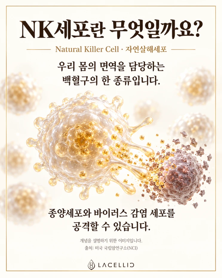 서정희님의 NK치료 이야기와 함께 알아보는 라셀릭 Evo-NK