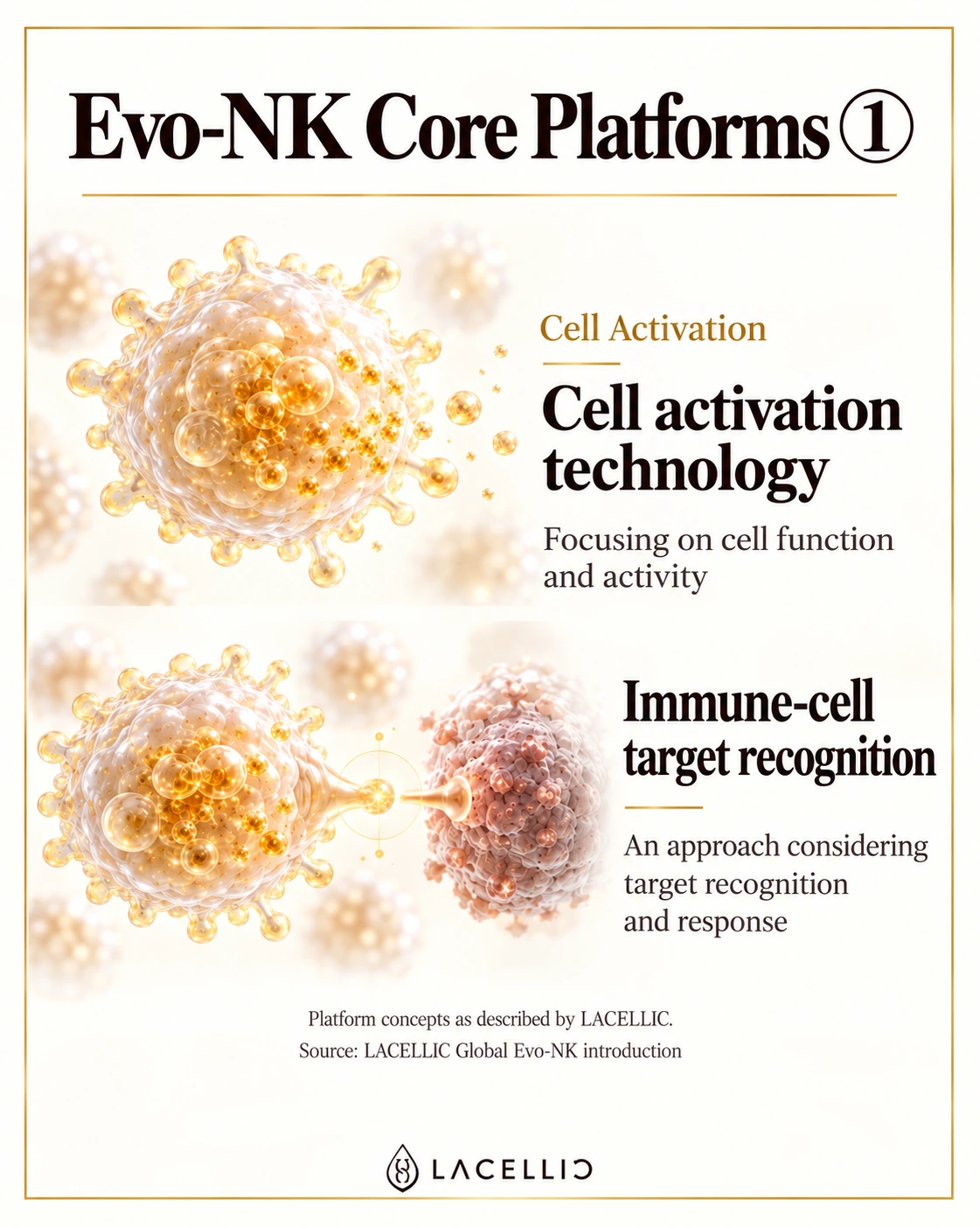 Evo-NK: cell activation and target recognition