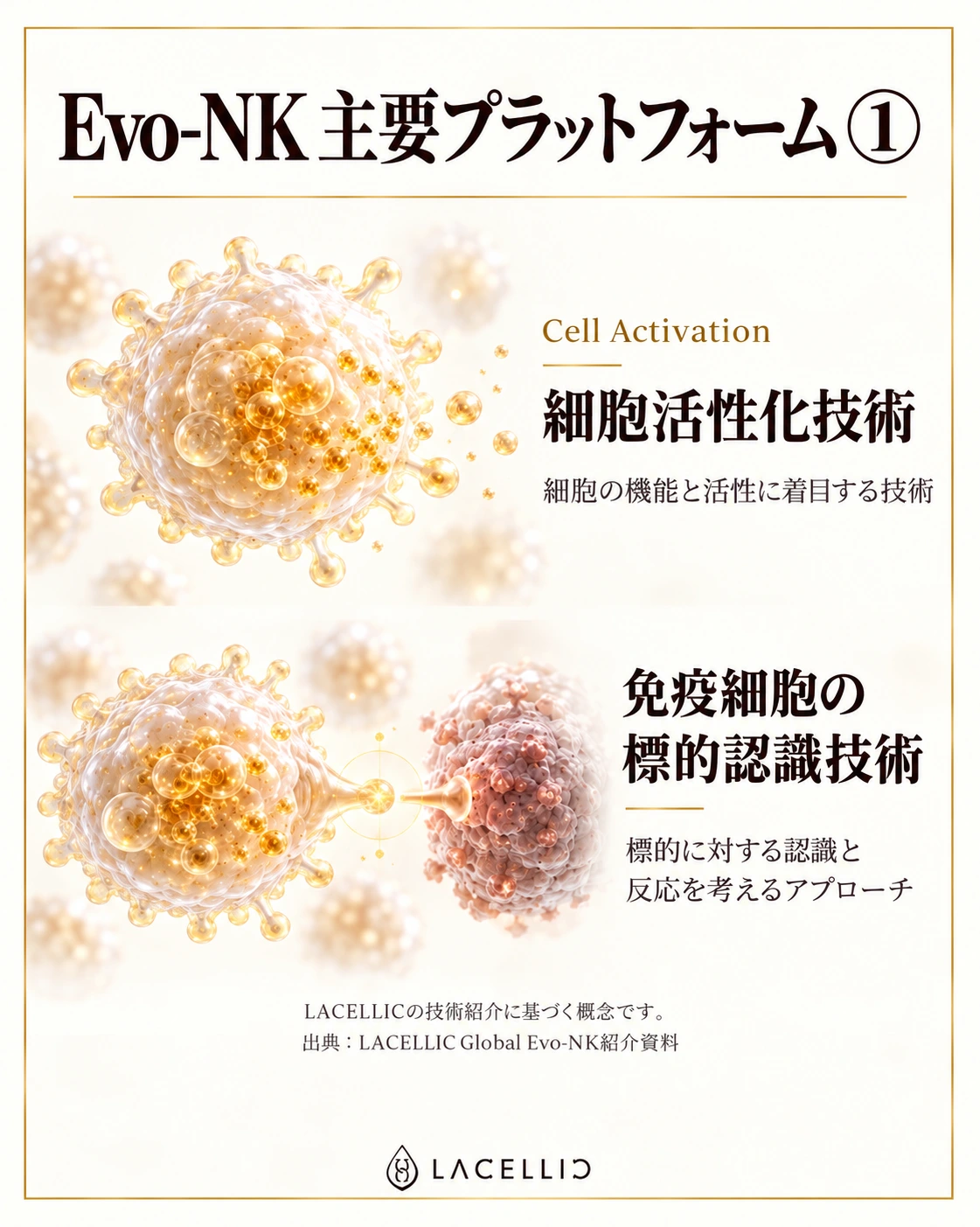 Evo-NK：細胞活性化と標的認識
